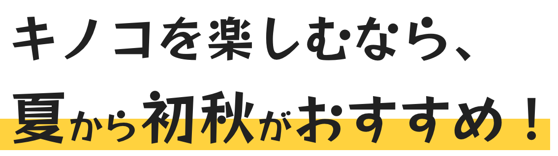 キノコを楽しむなら、夏から初秋がおすすめ!